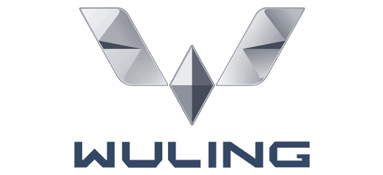 腾博诚信官网·(中国)会专业效劳